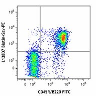 Biotin anti-mouse CD185 (CXCR5) Antibody (145509)