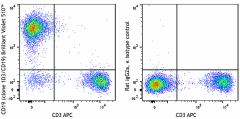 Brilliant Violet 510™ anti-mouse CD19 Antibody (152423)
