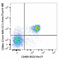 Alexa Fluor® 488 anti-mouse CD66a (CEACAM1a) Antibody (134525)