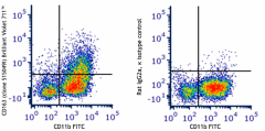Brilliant Violet 711™ anti-mouse CD163 Antibody (155325)