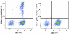 PE anti-human CD8b Recombinant Antibody (376703)