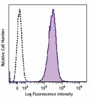 PE anti-rat Erythroid Cells Antibody (250404)