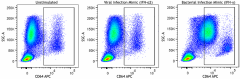 Myeloid Activation Analysis Cocktail (391506)