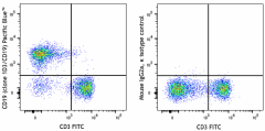 Pacific Blue™ anti-mouse CD19 Antibody (152415)