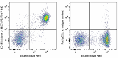 PE/Fire™ 640 anti-mouse CD185 (CXCR5) Antibody (145549)