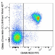 Brilliant Violet 421™ anti-mouse CD66a (CEACAM1a) Antibody (134531)