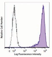 Purified anti-human TM4SF20 Antibody (367202)