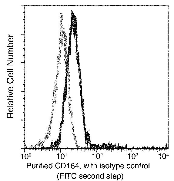 CD164 Monoclonal Antibody (AN200126P)
