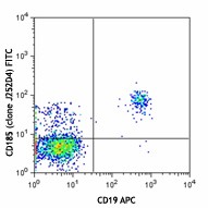 FITC anti-human CD185 (CXCR5) Antibody (356913)