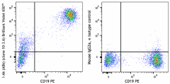Brilliant Violet 650™ anti-mouse I-Ak (Aβk) Antibody (109917)
