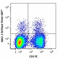 Brilliant Violet 650™ anti-mouse IFN-γ Antibody (505831)