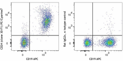 PE/Cyanine7 anti-mouse CD24 Antibody (138507)