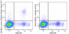 Brilliant Violet 421™ anti-human CD158b1/j (KIR2DL2/KIR2DS2) Antibody (317619)