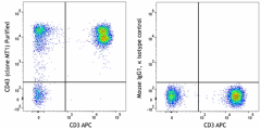 Purified anti-human CD43 Antibody (314311)