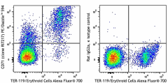 PE/Dazzle™ 594 anti-mouse CD71 Antibody (113817)