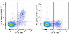 PE anti-mouse CD192 (CCR2) Recombinant Antibody (160105)