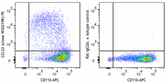 PE anti-mouse CCL22 Antibody (167503)