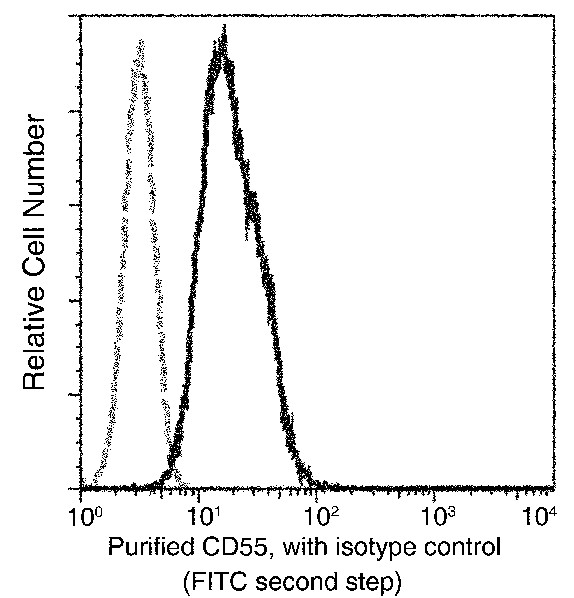 Recombinant CD55/DAF Monoclonal Antibody (AN300017P)