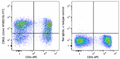 FITC anti-mouse CD62L Antibody (161211)