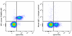 APC anti-SPI1 (PU.1) Antibody (658015)