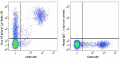 PE anti-human HLA-DR Recombinant Antibody (365605)