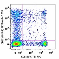 PE/Dazzle™ 594 anti-human CD57 Antibody (359619)