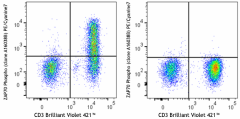 PE/Cyanine7 anti-ZAP70 Phospho (Tyr292) Antibody (693811)