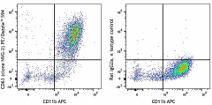 PE/Dazzle™ 594 anti-mouse CD63 Antibody (143913)