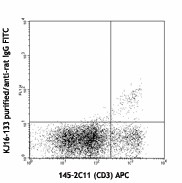 Purified anti-mouse TCR Vβ8.1, 8.2 Antibody (118402)