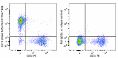 PerCP/Fire™ 806 anti-mouse CD19 Antibody (115593)