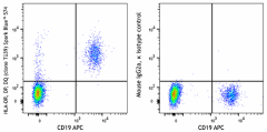 Spark Blue™ 574 anti-human HLA-DR, DP, DQ Antibody (361723)