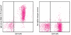 PE/Cyanine7 anti-mouse IgM Antibody (406513)