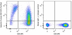 Purified anti-human/mouse Galectin-9 Antibody (390804)