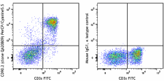 PerCP/Cyanine5.5 anti-mouse CD90.2 (Thy1.2) Recombinant Antibody (117109)
