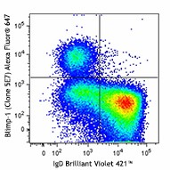 Alexa Fluor® 647 anti-mouse Blimp-1 Antibody (150003)