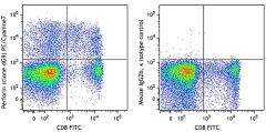 PE/Cyanine7 anti-human Perforin Antibody (308125)