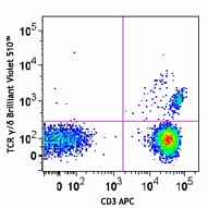Brilliant Violet 510™ anti-human TCR γ/δ Antibody (331219)