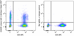 Brilliant Violet 570™ anti-human CX3CR1 Antibody (341633)