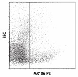 PE anti-rat CD106 Antibody (200403)