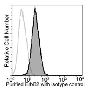 Recombinant HER2/ErbB2/CD340 Monoclonal Antibody (AN300004P)