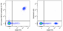 StarBright UltraViolet 795 anti-human CD19 Antibody (302255)