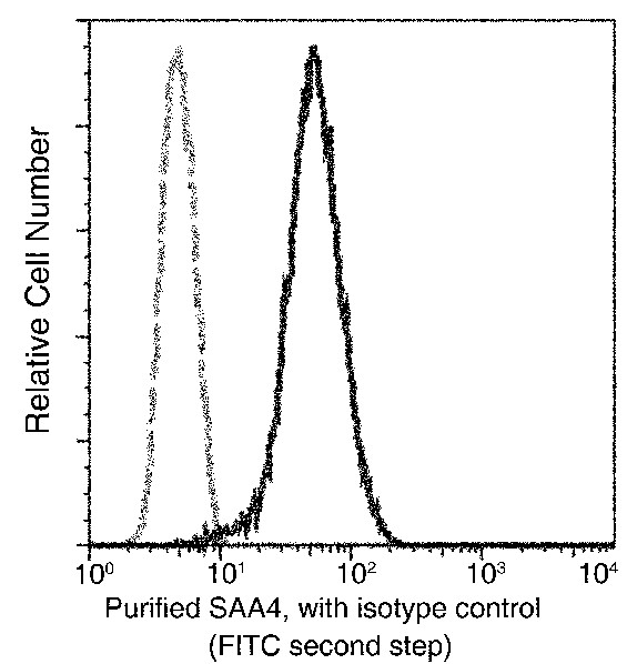 Recombinant SAA4 Monoclonal Antibody (AN300231P)