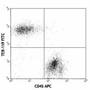 FITC anti-mouse TER-119/Erythroid Cells Antibody (116205)
