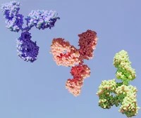 RABBIT. Secondary Antibodies BioLegend