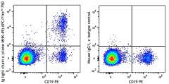 APC/Fire™ 750 anti-human Ig light chain κ Antibody (316529)