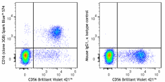 Spark Blue™ 574 anti-human CD16 Antibody (302031)