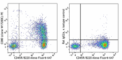 PE anti-mouse CD80 Antibody (600055)