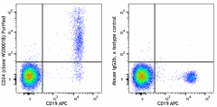 Purified anti-human CD24 Antibody (382602)