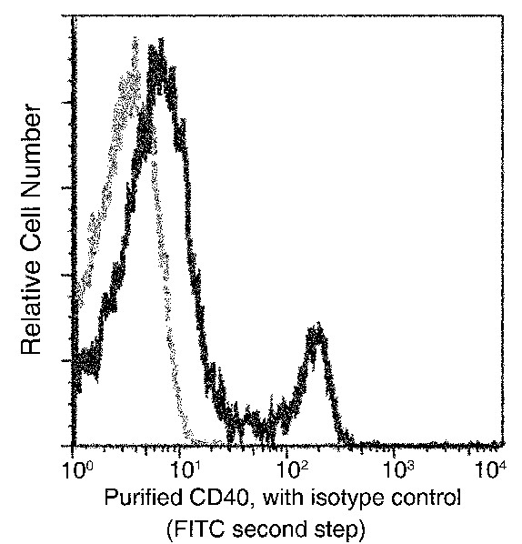 CD40/TNFRSF5 Monoclonal Antibody (AN200109P)