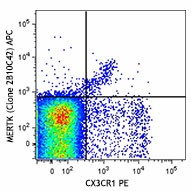 APC anti-mouse MERTK (Mer) Antibody (151507)